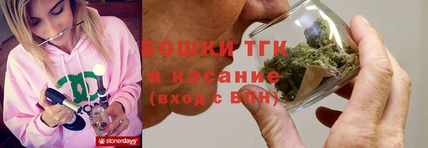 сатива Абаза