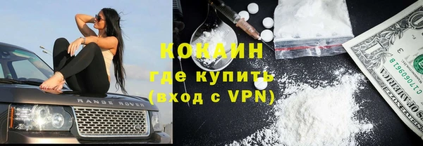 сатива Абаза