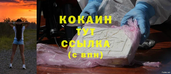 сатива Абаза